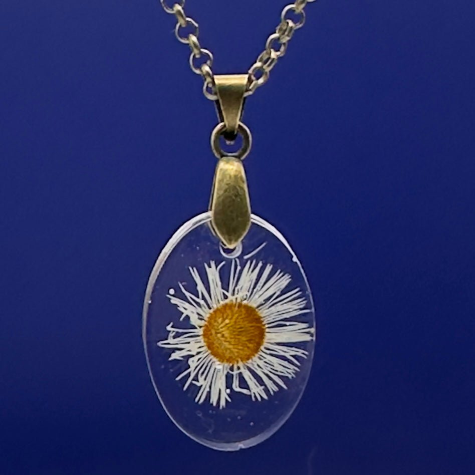 Feathery white flower - Primacora