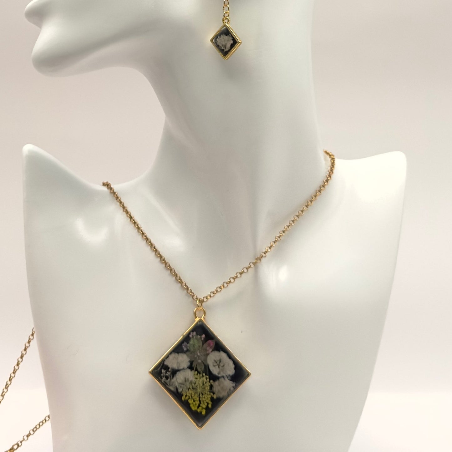 Flowers in black background - Primacora