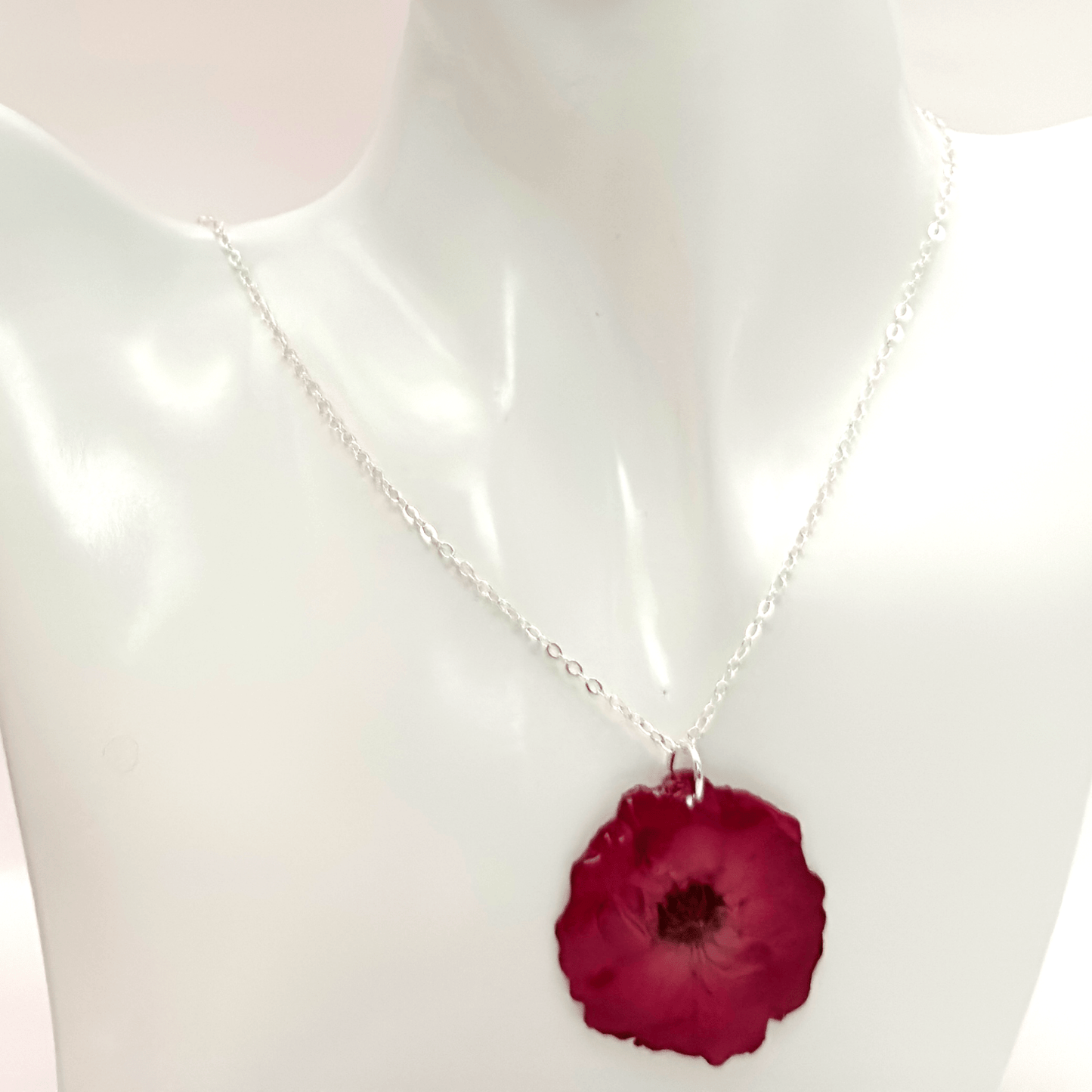Red flower set - Primacora