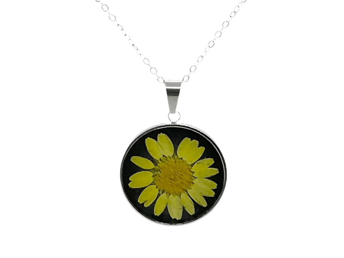 Flower power - Primacora