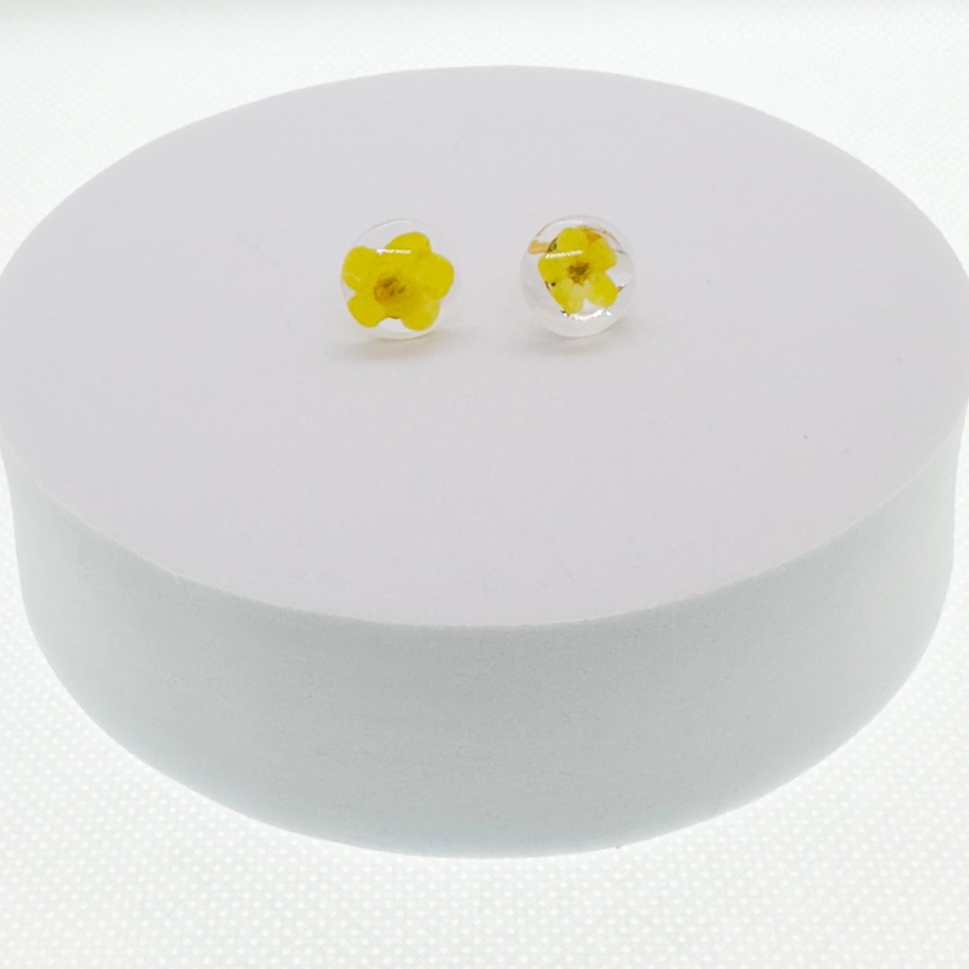 Forget - me - nots studs - Primacora