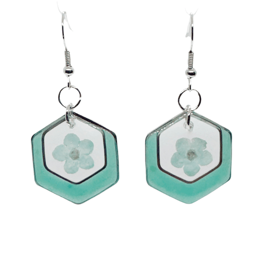 Framed flowers - Primacora