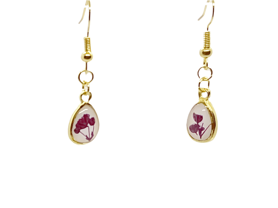 Pink & purple - Primacora