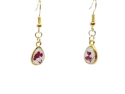 Pink & purple - Primacora