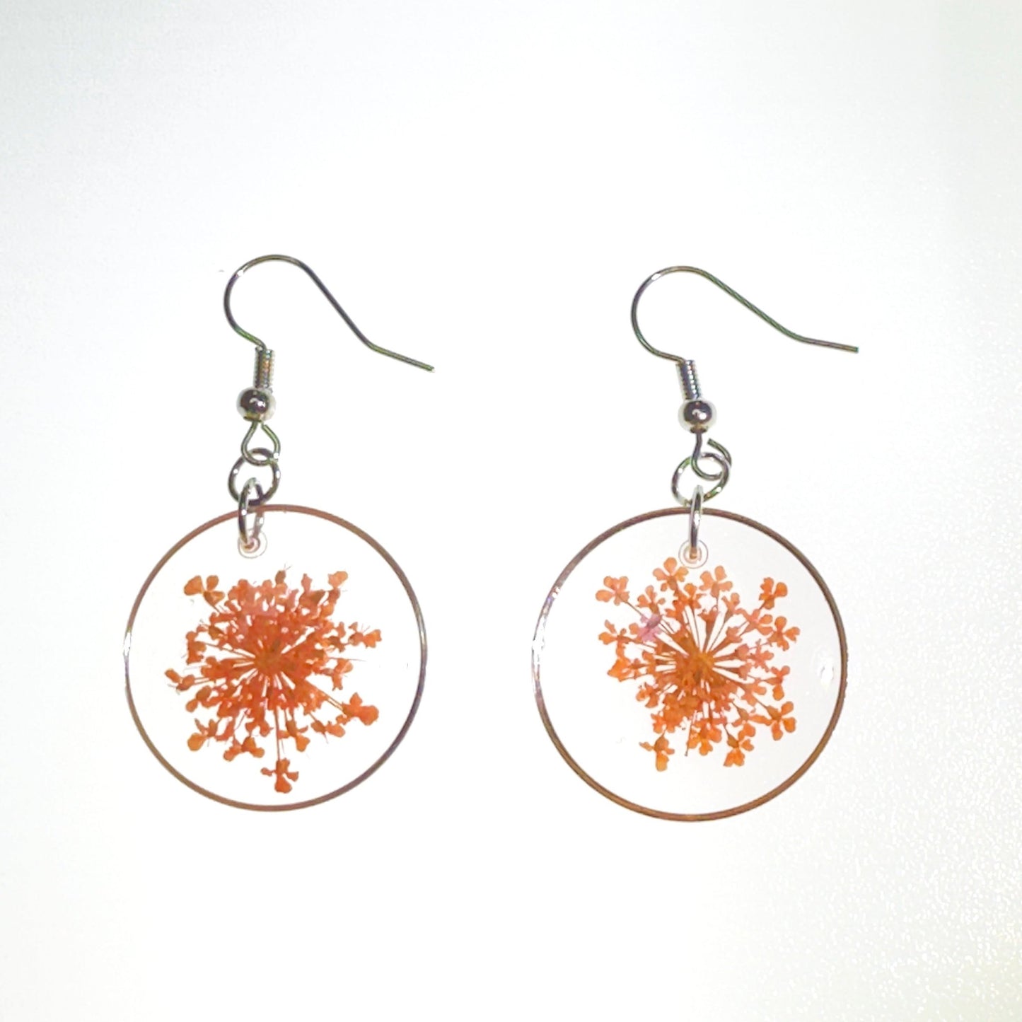 Pops of color - Primacora