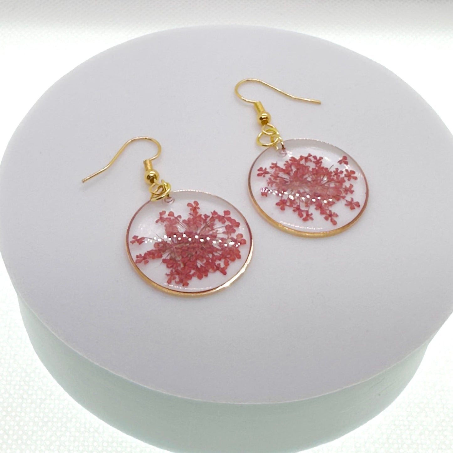 Pops of color - Primacora