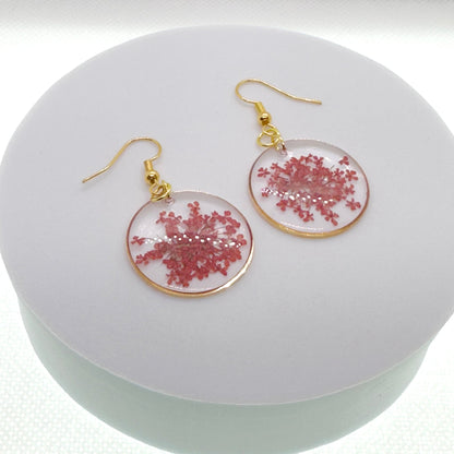 Pops of color - Primacora