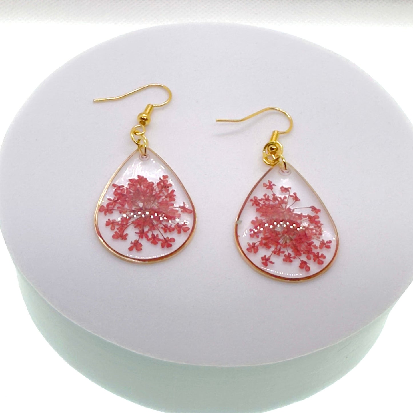 Pops of color - Primacora