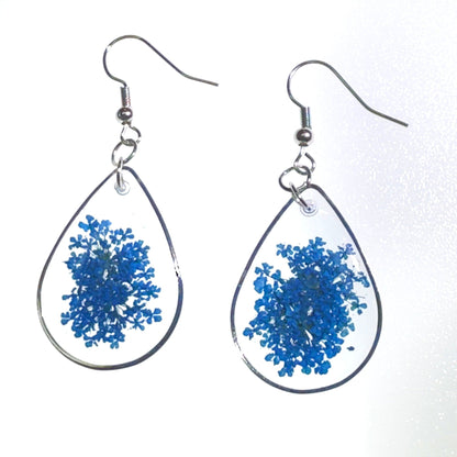 Pops of color - Primacora