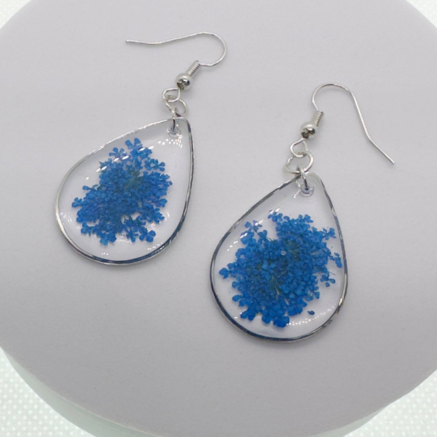 Pops of color - Primacora