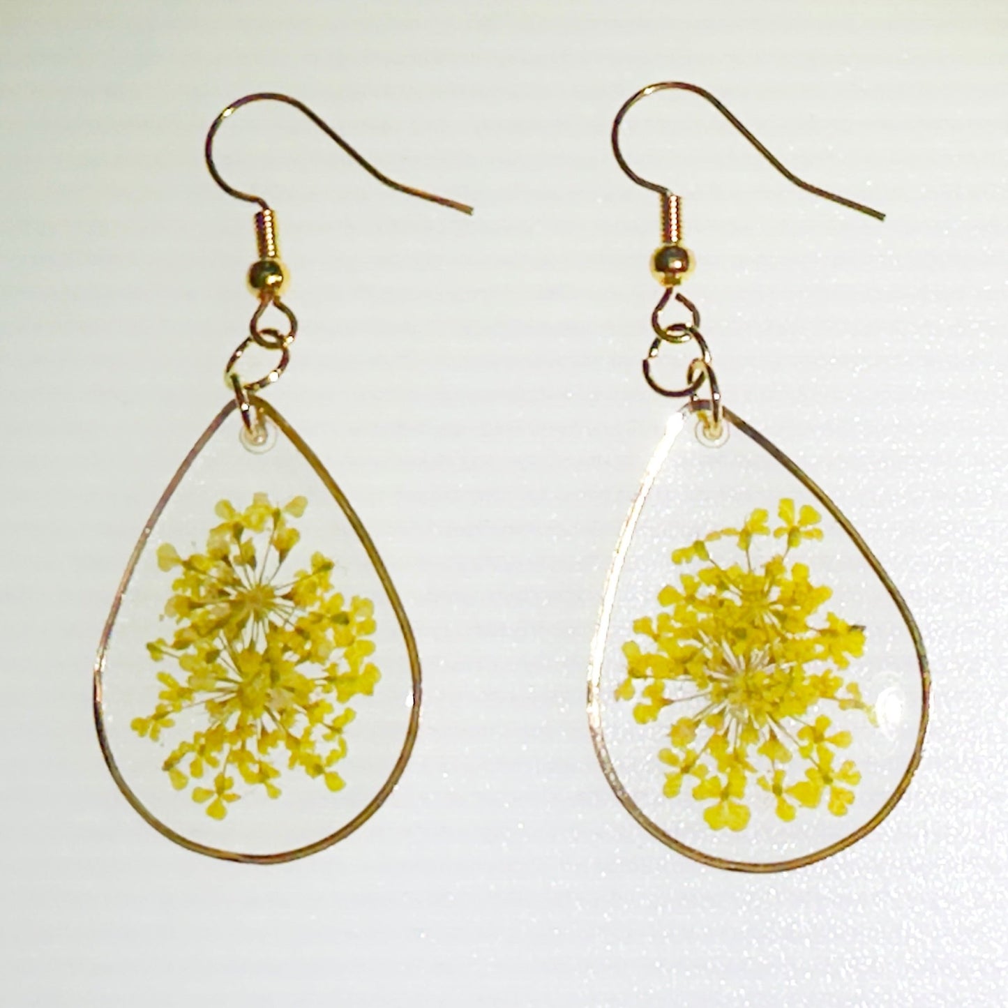 Pops of color - Primacora