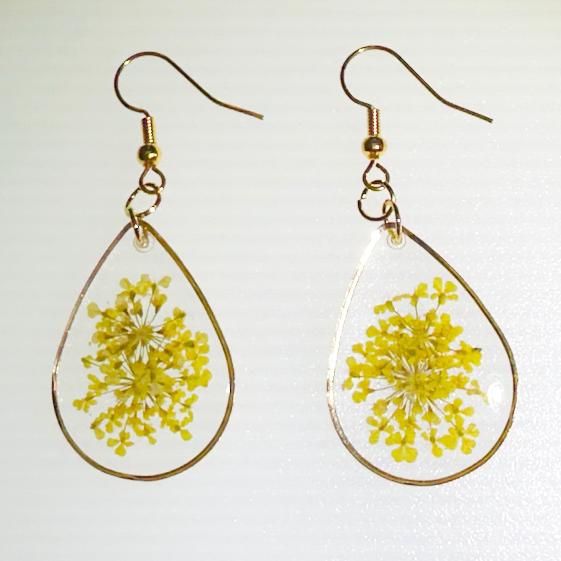 Pops of color - Primacora