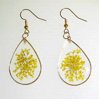 Pops of color - Primacora