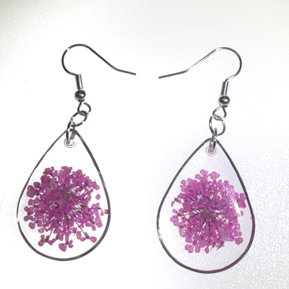 Pops of color - Primacora