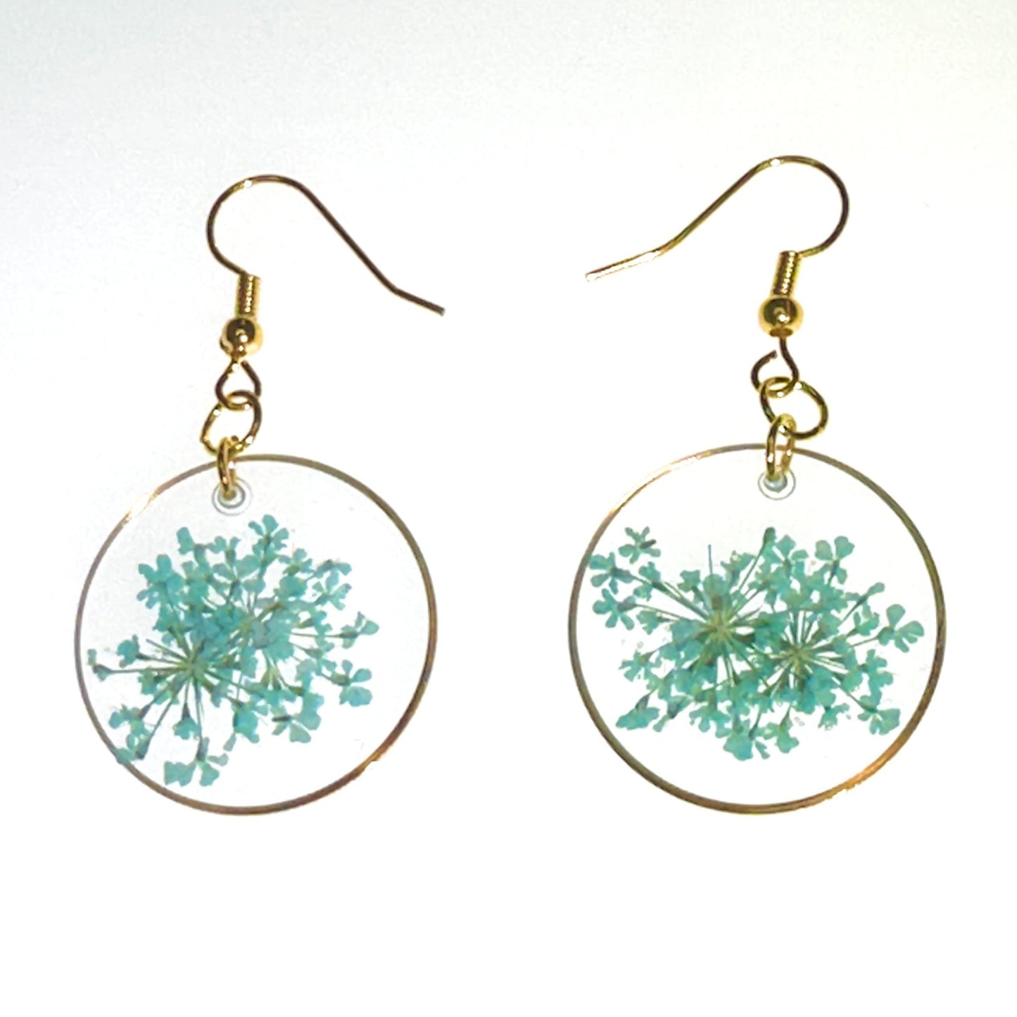 Pops of color - Primacora