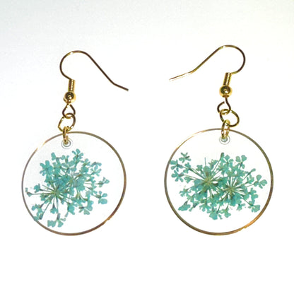 Pops of color - Primacora