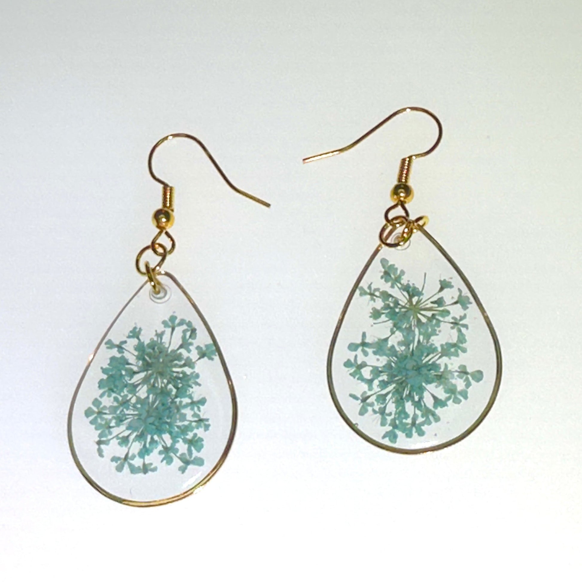 Pops of color - Primacora