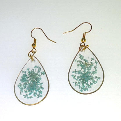 Pops of color - Primacora