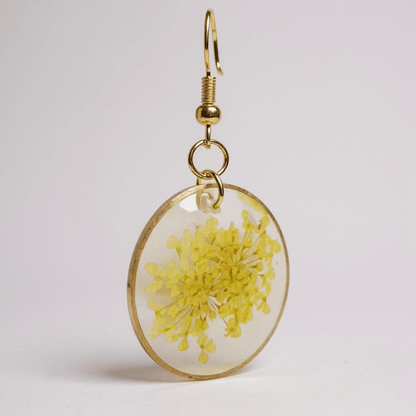 Pops of color - Primacora