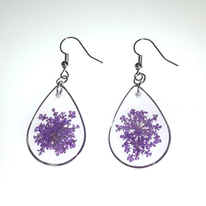 Pops of color - Primacora