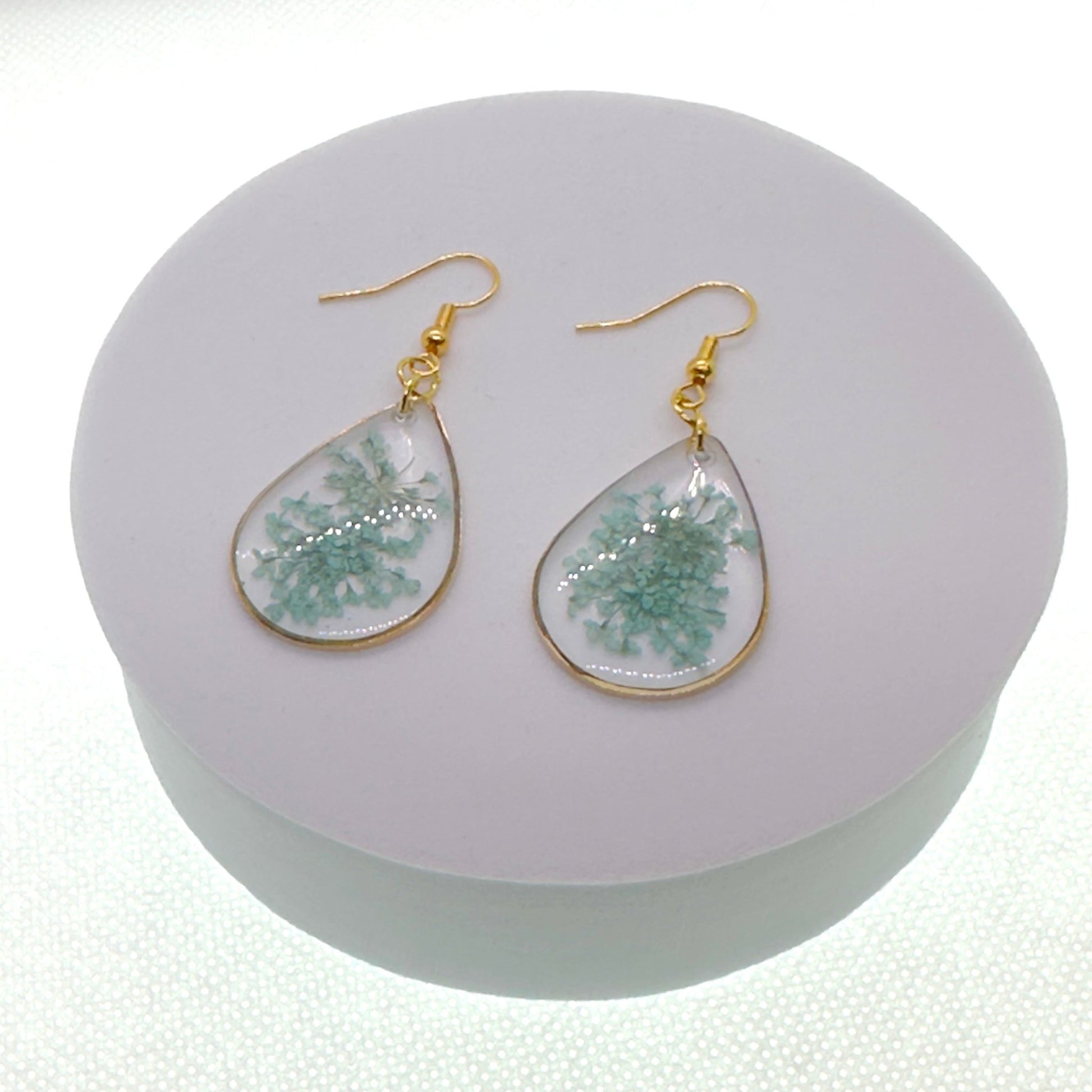 Pops of color - Primacora