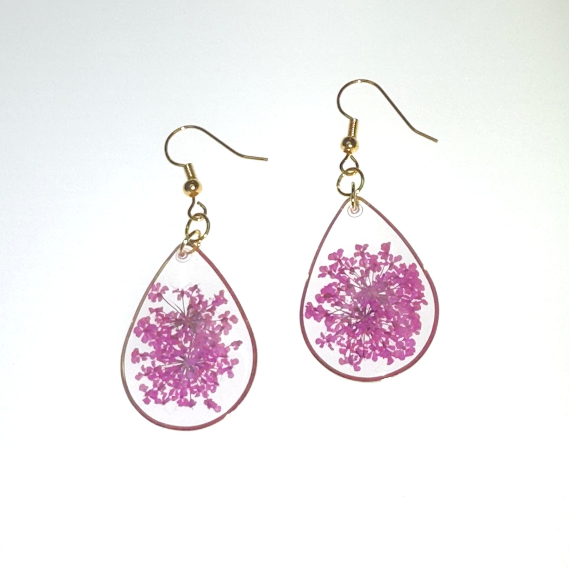 Pops of color - Primacora