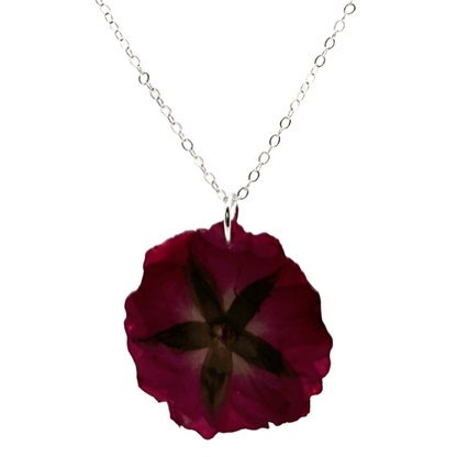 Red flower set - Primacora