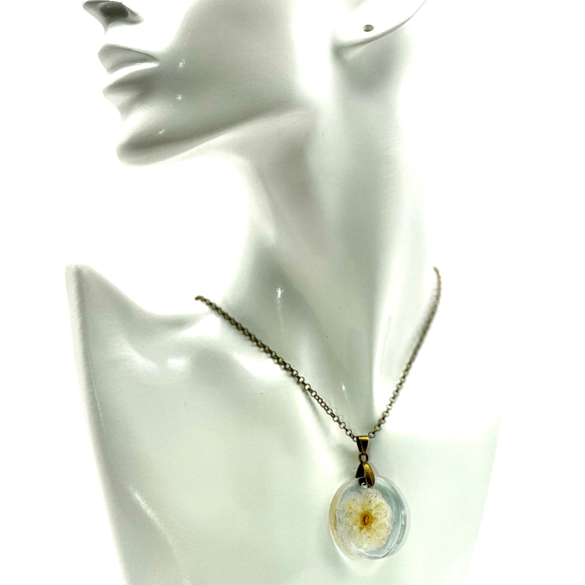 Simple beauty - Primacora