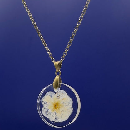 Simple beauty - Primacora