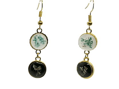 White & teal - Primacora